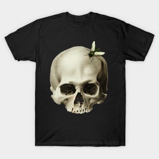 Skull with a fly around T-Shirt